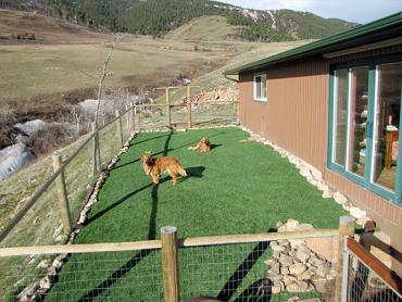 Artificial Grass Photos: Fake Pet Turf East La Mirada California Landscape